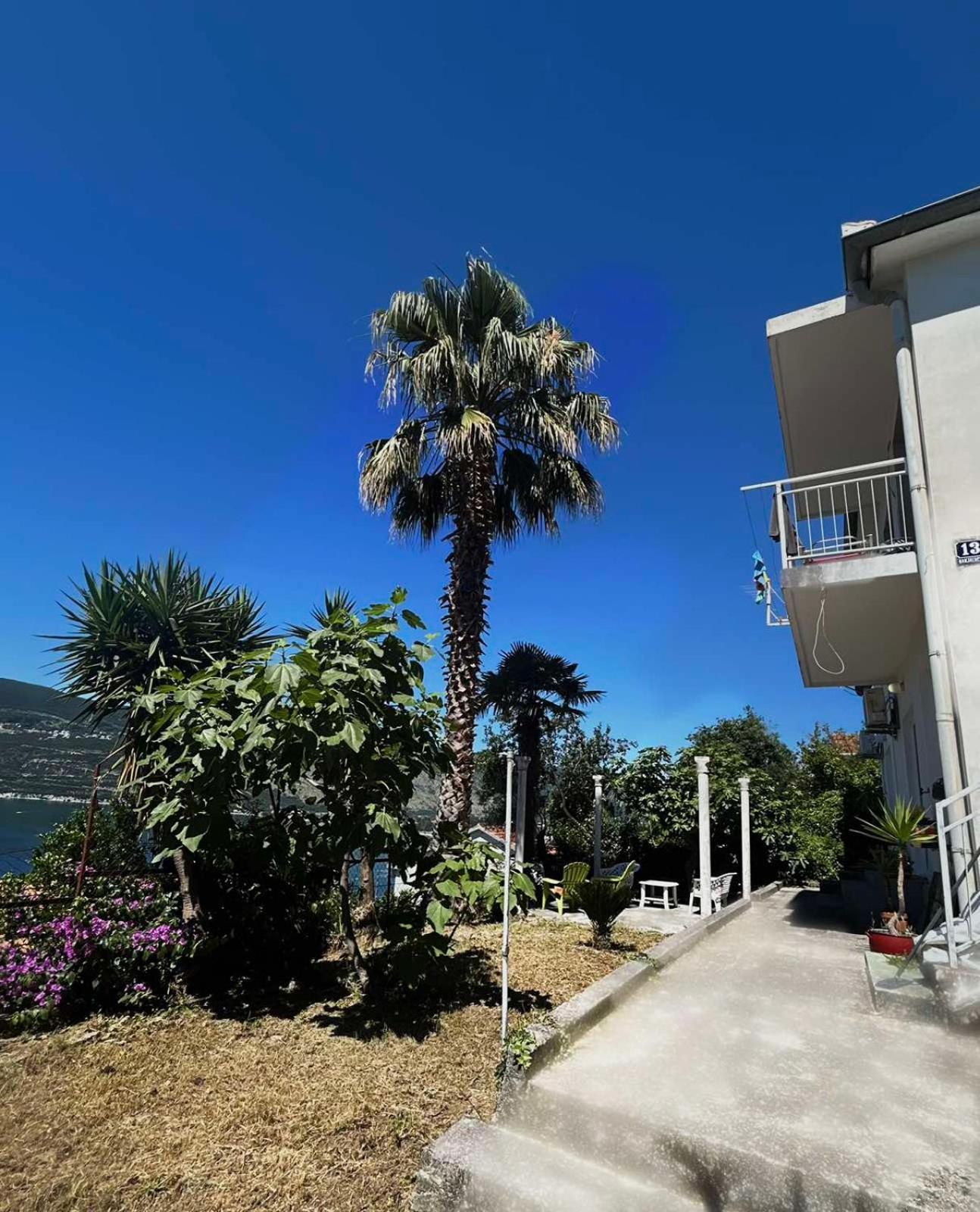 Apartments Maya Herceg Novi Exteriér fotografie