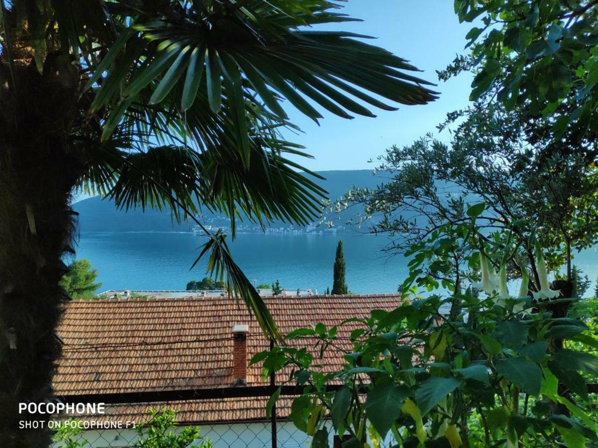 Apartments Maya Herceg Novi Exteriér fotografie